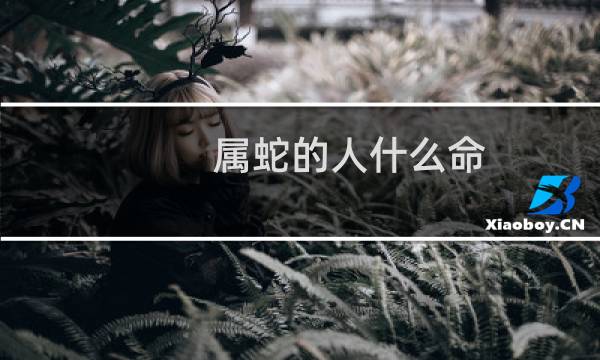 属蛇的人什么命