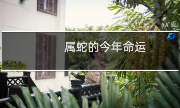 属蛇的今年命运