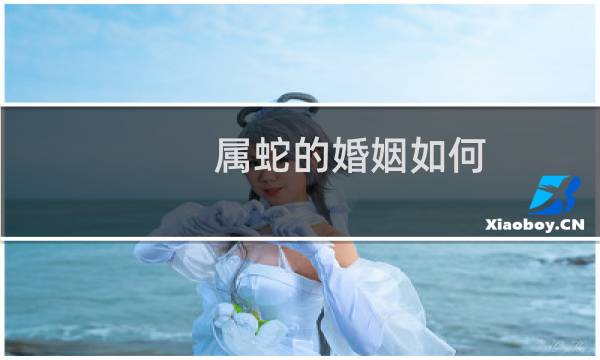 属蛇的婚姻如何