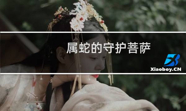 属蛇的守护菩萨