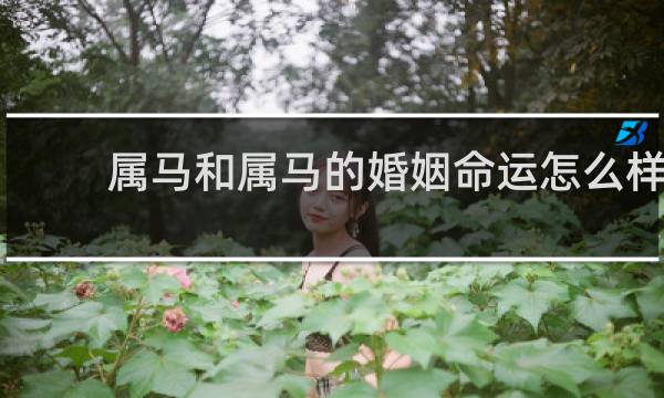 属马和属马的婚姻命运怎么样