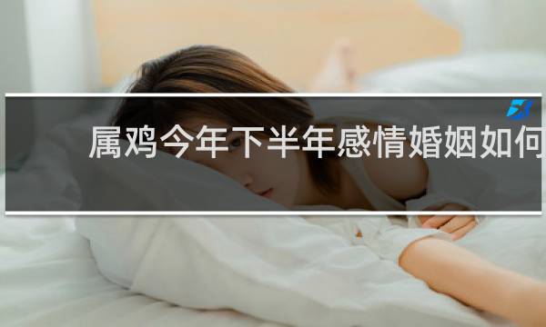 属鸡今年下半年感情婚姻如何