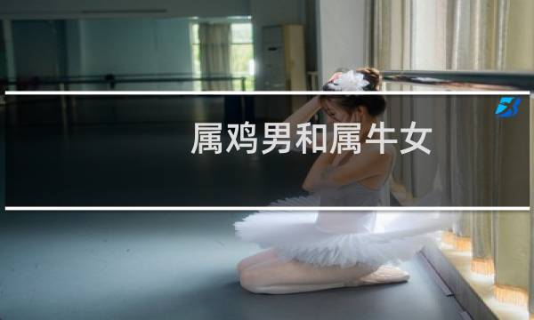 属鸡男和属牛女
