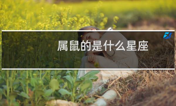 属鼠的是什么星座