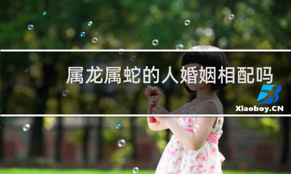 属龙属蛇的人婚姻相配吗