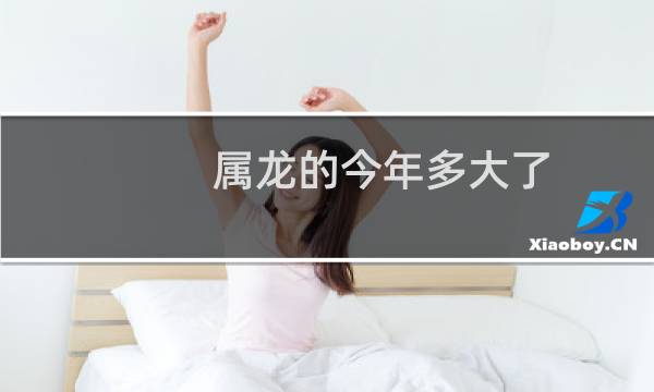 属龙的今年多大了