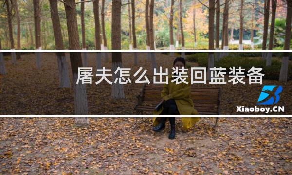 屠夫怎么出装回蓝装备