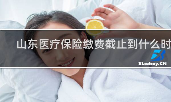 山东医疗保险缴费截止到什么时候