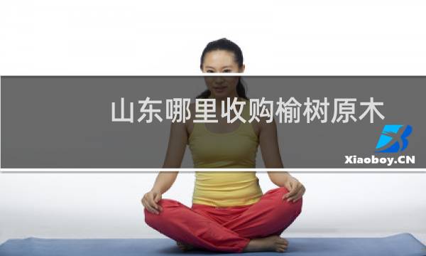 山东哪里收购榆树原木