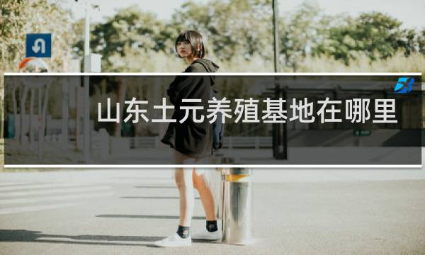 山东土元养殖基地在哪里
