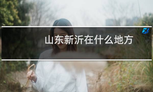 山東新沂在什么地方
