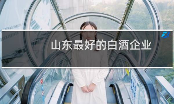 山东最好的白酒企业
