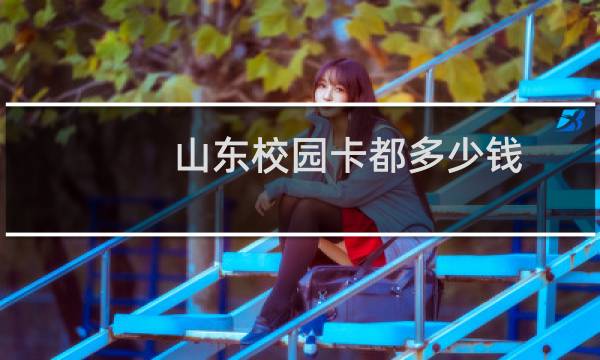 山东校园卡都多少钱