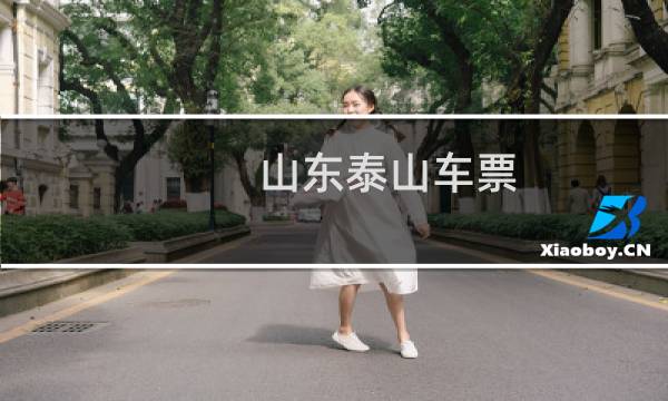 山東泰山車票