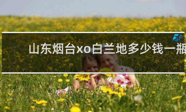 山东烟台xo白兰地多少钱一瓶