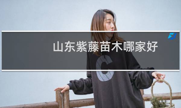 山东紫藤苗木哪家好