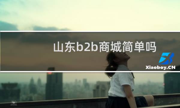 山东b2b商城简单吗