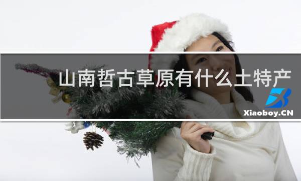 山南哲古草原有什么土特产