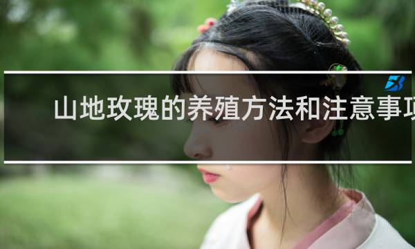 山地玫瑰的养殖方法和注意事项