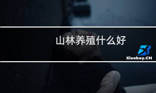 山林养殖什么好