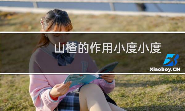 山楂的作用小度小度