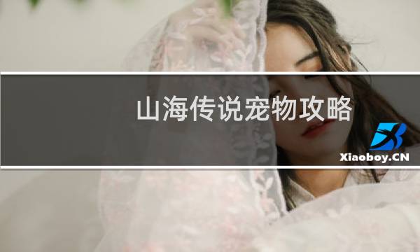 山海传说宠物攻略