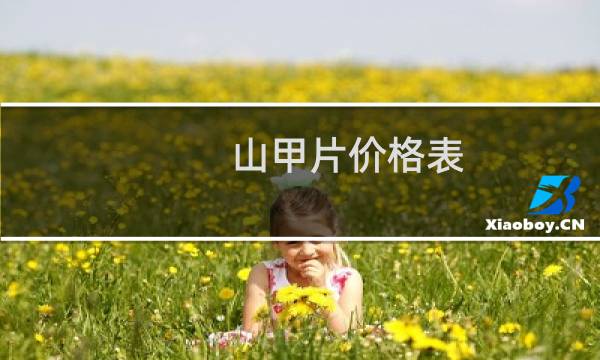 山甲片价格表