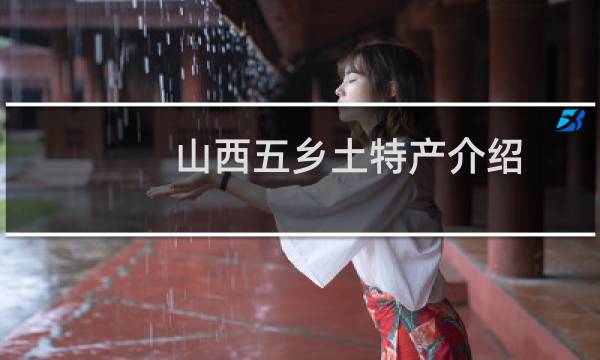 山西五乡土特产介绍