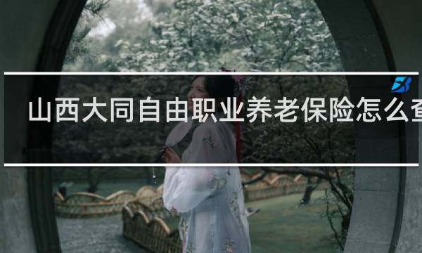 山西大同自由职业养老保险怎么查询