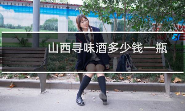 山西寻味酒多少钱一瓶