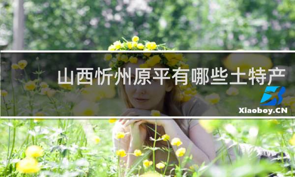 山西忻州原平有哪些土特产