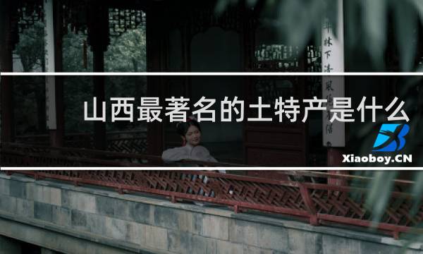 山西最著名的土特产是什么