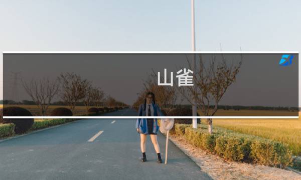 山雀 价格
