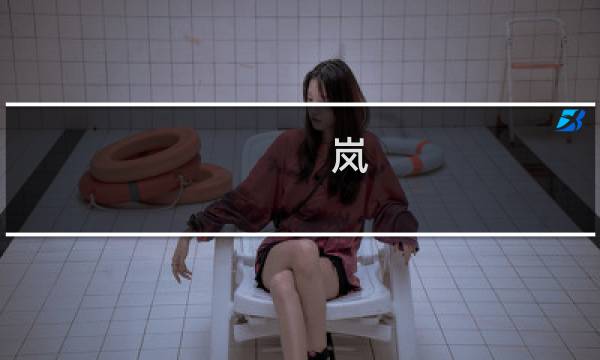 岚 十 攻略