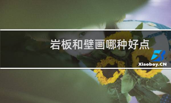 岩板和壁画哪种好点