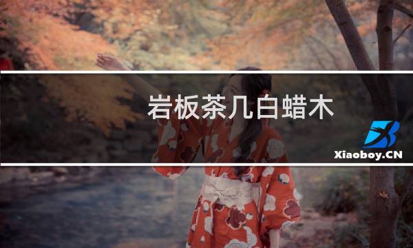 岩板茶几白蜡木