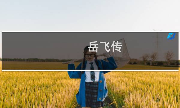 岳飞传 图文攻略