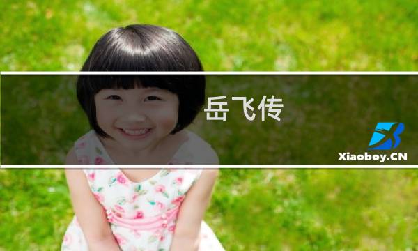 岳飞传 攻略