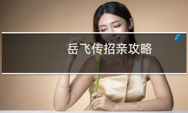 岳飞传招亲攻略