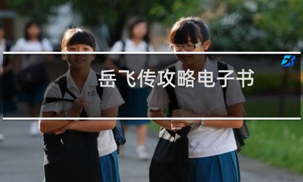 岳飞传攻略电子书