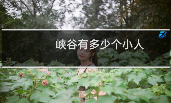 峡谷有多少个小人