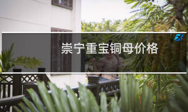 崇宁重宝铜母价格