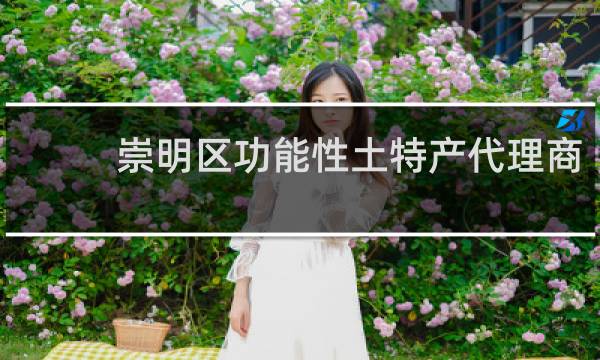 崇明区功能性土特产代理商