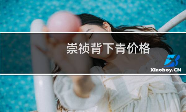 崇祯背下青价格