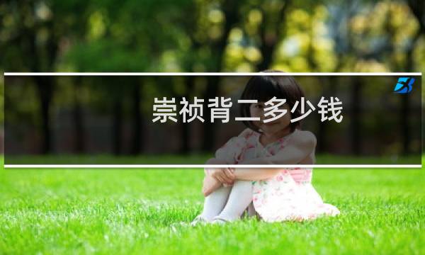 崇祯背二多少钱