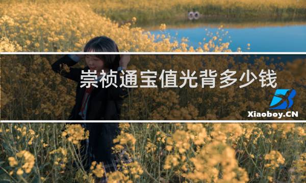 崇祯通宝值光背多少钱