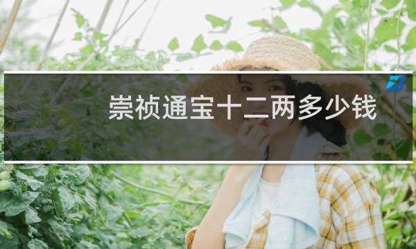 崇祯通宝十二两多少钱