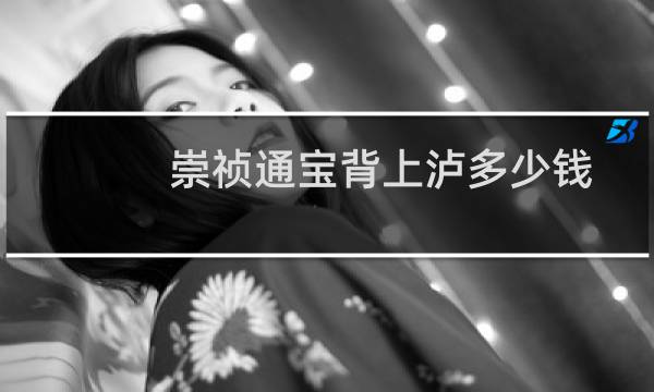 崇祯通宝背上泸多少钱