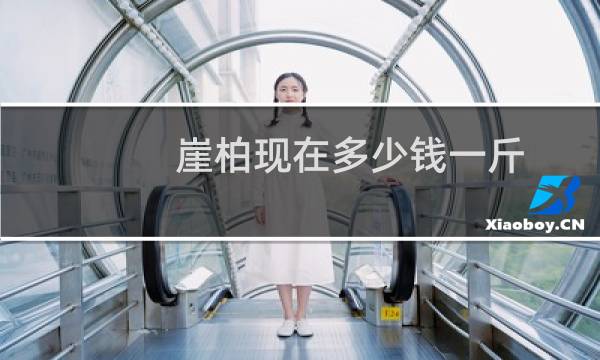 崖柏现在多少钱一斤