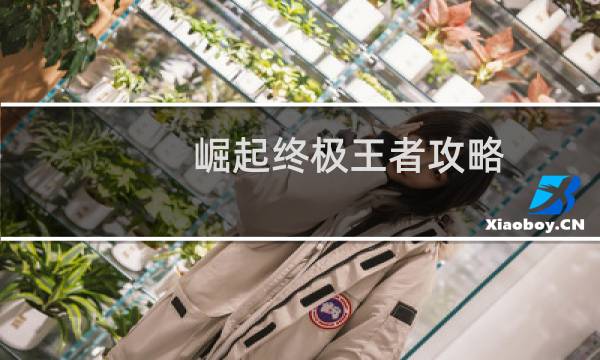 崛起终极王者攻略